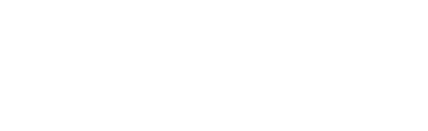 zlot